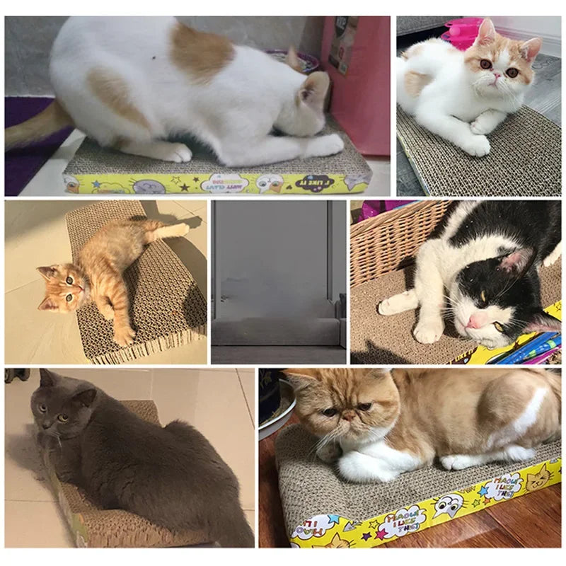 Cat Cardboard Scratch